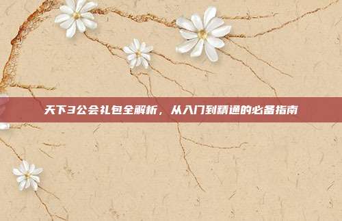 天下3公会礼包全解析，从入门到精通的必备指南