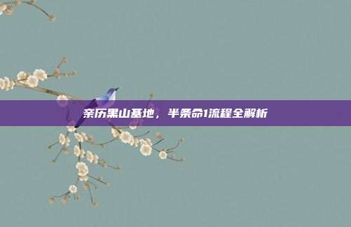 亲历黑山基地，半条命1流程全解析