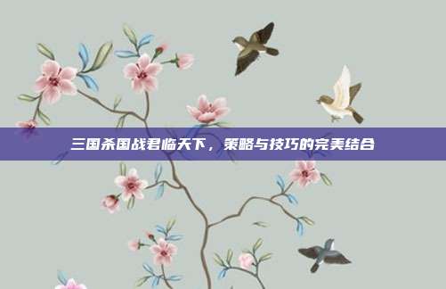 三国杀国战君临天下,策略与技巧的完美结合