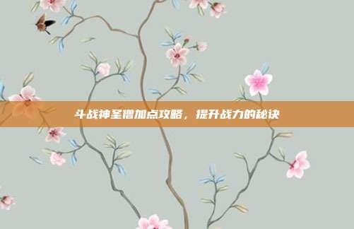 斗战神圣僧加点攻略,提升战力的秘诀