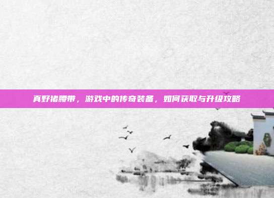 真野猪腰带,游戏中的传奇装备,如何获取与升级攻略