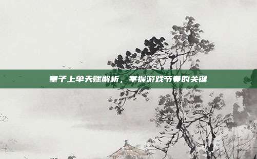 皇子上单天赋解析，掌握游戏节奏的关键