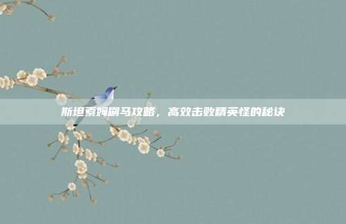 斯坦索姆刷马攻略,高效击败精英怪的秘诀