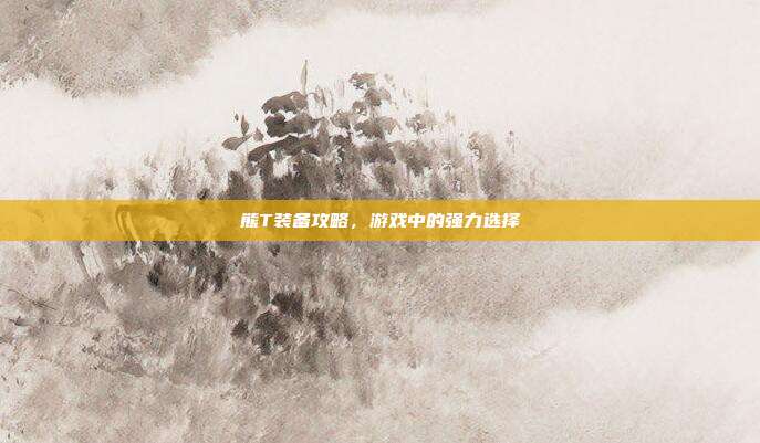 熊T装备攻略,游戏中的强力选择