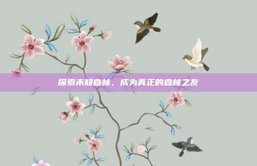 探索未知森林,成为真正的森林之友