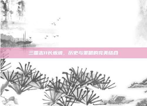 三国志11长坂坡,历史与策略的完美结合
