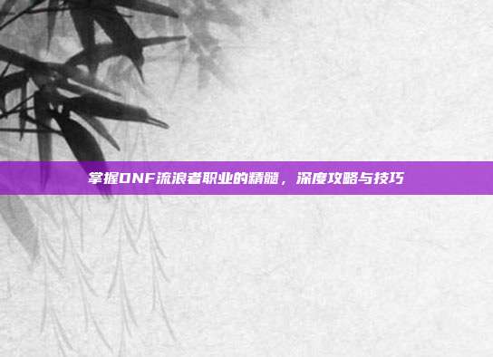 掌握DNF流浪者职业的精髓,深度攻略与技巧