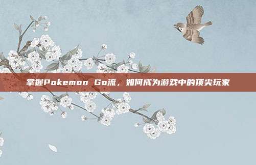 掌握Pokemon Go流,如何成为游戏中的顶尖玩家