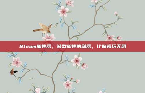 Steam加速器，游戏加速的利器，让你畅玩无阻