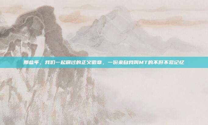 那些年，我们一起刷过的正义徽章，一份来自我叫MT的不肝不氪记忆