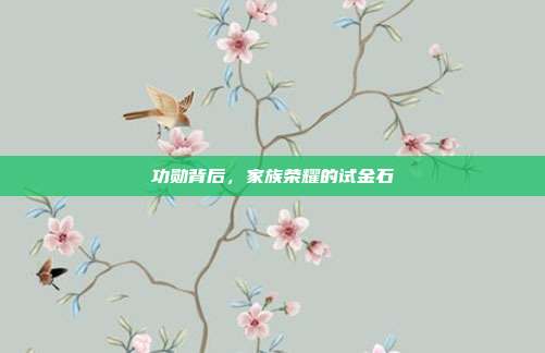 功勋背后，家族荣耀的试金石