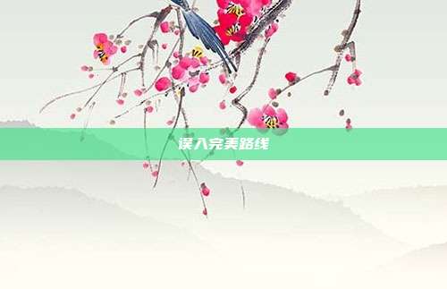 误入完美路线