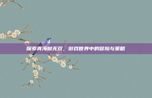 探索真海贼无双，游戏世界中的冒险与策略