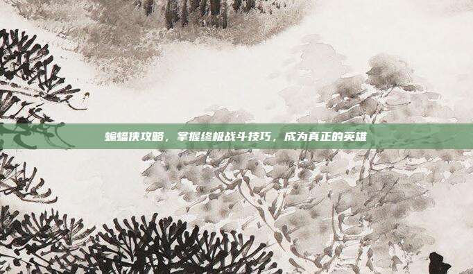 蝙蝠侠攻略,掌握终极战斗技巧,成为真正的英雄