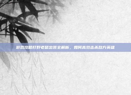 游戏攻略打野老鼠出装全解析,如何高效击杀敌方英雄