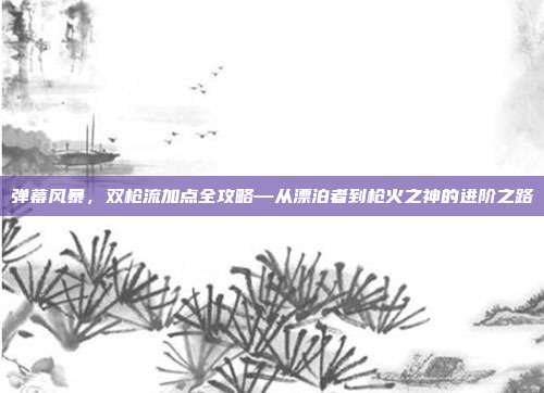 弹幕风暴，双枪流加点全攻略—从漂泊者到枪火之神的进阶之路