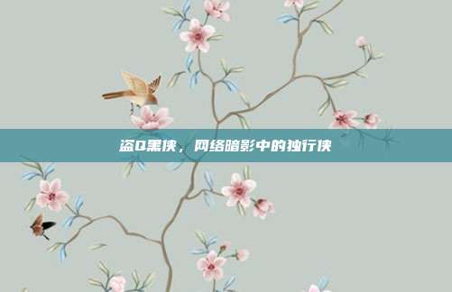 盗Q黑侠，网络暗影中的独行侠