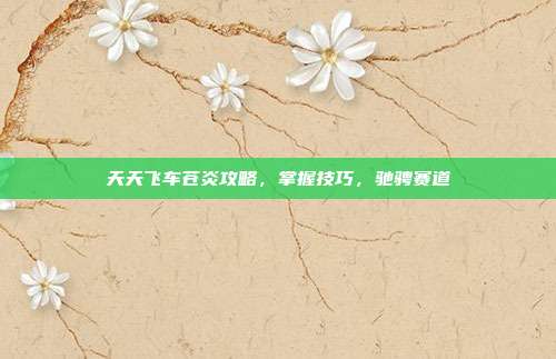 天天飞车苍炎攻略,掌握技巧,驰骋赛道