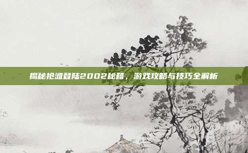 揭秘抢滩登陆2002秘籍，游戏攻略与技巧全解析