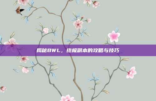 揭秘BWL，终极副本的攻略与技巧