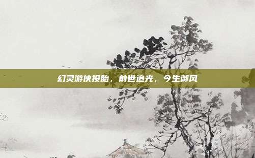 幻灵游侠投胎，前世追光，今生御风