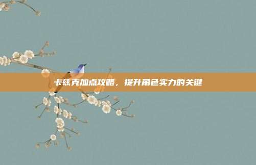卡兹克加点攻略,提升角色实力的关键