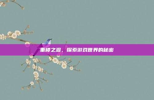 重楼之泪,探索游戏世界的秘密