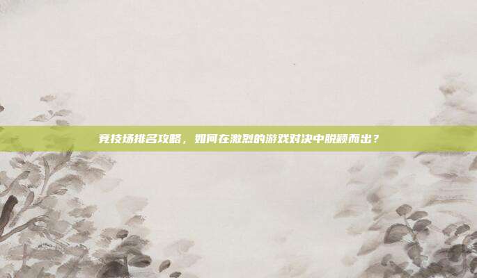 竞技场排名攻略,如何在激烈的游戏对决中脱颖而出?