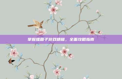 掌握推箱子游戏精髓,全面攻略指南