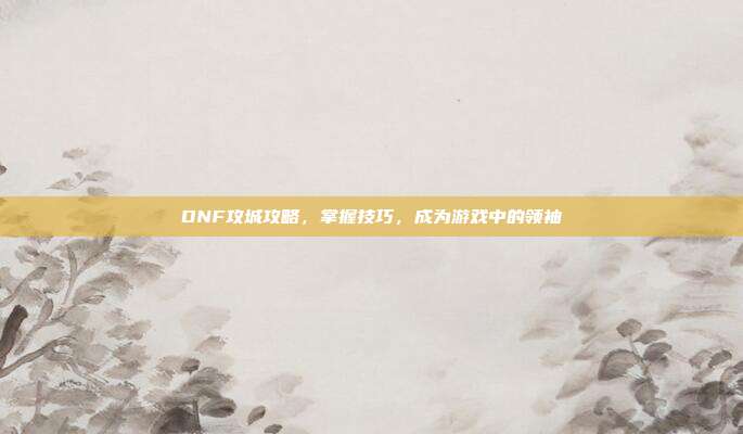 DNF攻城攻略,掌握技巧,成为游戏中的领袖