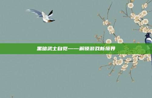 黑暗武士自觉——解锁游戏新境界