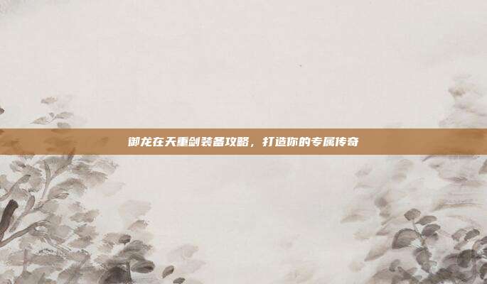 御龙在天重剑装备攻略,打造你的专属传奇