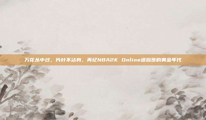 万花丛中过，片叶不沾身，再忆NBA2K Online迷踪步的黄金年代