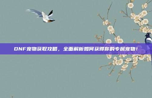 DNF宠物获取攻略,全面解析如何获得你的专属宠物!