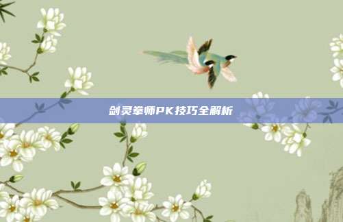 剑灵拳师PK技巧全解析