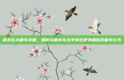 御龙在天砸车攻略,如何在御龙在天中有效避免和应对砸车行为