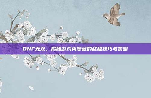 DNF无双,揭秘游戏内隐藏的终极技巧与策略