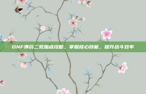 DNF弹药二觉加点攻略,掌握核心技能,提升战斗效率