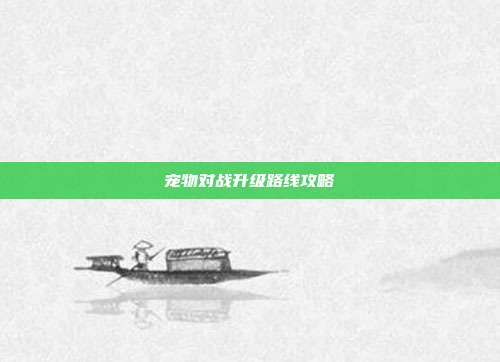 宠物对战升级路线攻略
