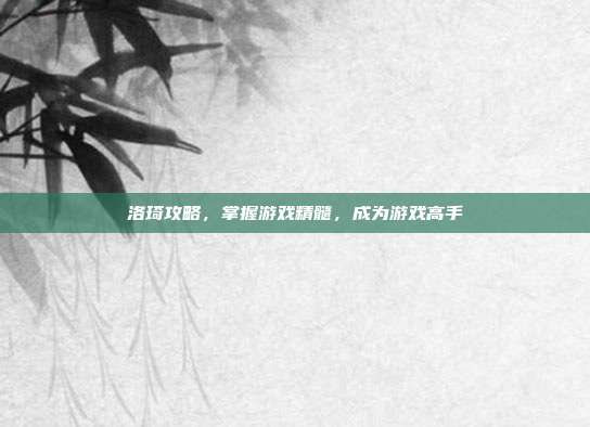 洛琦攻略,掌握游戏精髓,成为游戏高手