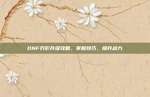 DNF刃影升级攻略,掌握技巧,提升战力