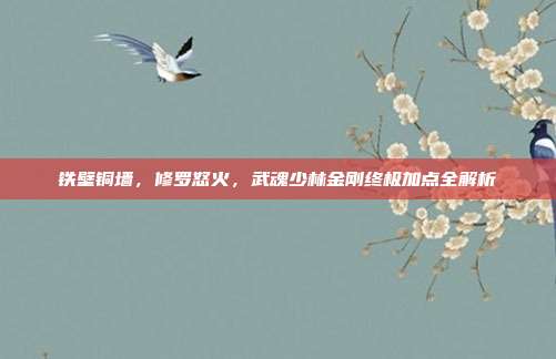 铁壁铜墙，修罗怒火，武魂少林金刚终极加点全解析