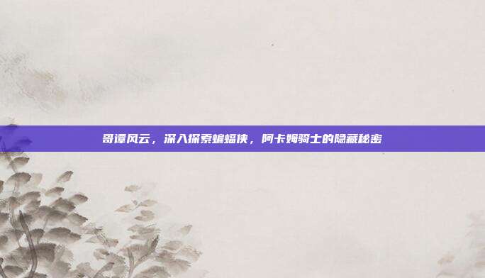 哥谭风云,深入探索蝙蝠侠,阿卡姆骑士的隐藏秘密