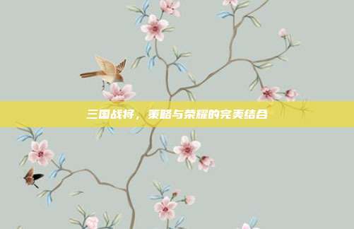 三国战将,策略与荣耀的完美结合