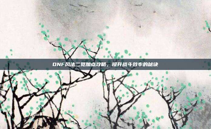 DNF风法二觉加点攻略,提升战斗效率的秘诀