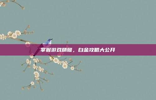 掌握游戏精髓,白金攻略大公开