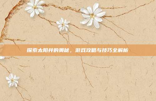 探索太阳井的奥秘,游戏攻略与技巧全解析