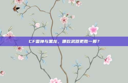 CF雷神与黑龙,哪款武器更胜一筹?