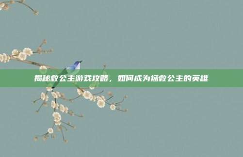 揭秘救公主游戏攻略，如何成为拯救公主的英雄