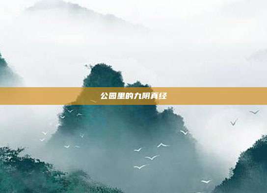 公园里的九阴真经